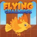 Flying Challenge 9 flying challenge 1