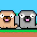 Friends Pug 4 friends pug 1
