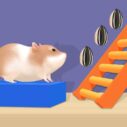 Hamster Stack Maze 7 hamster stack maze