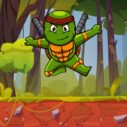 Turtle Ninja 6 turtle ninja